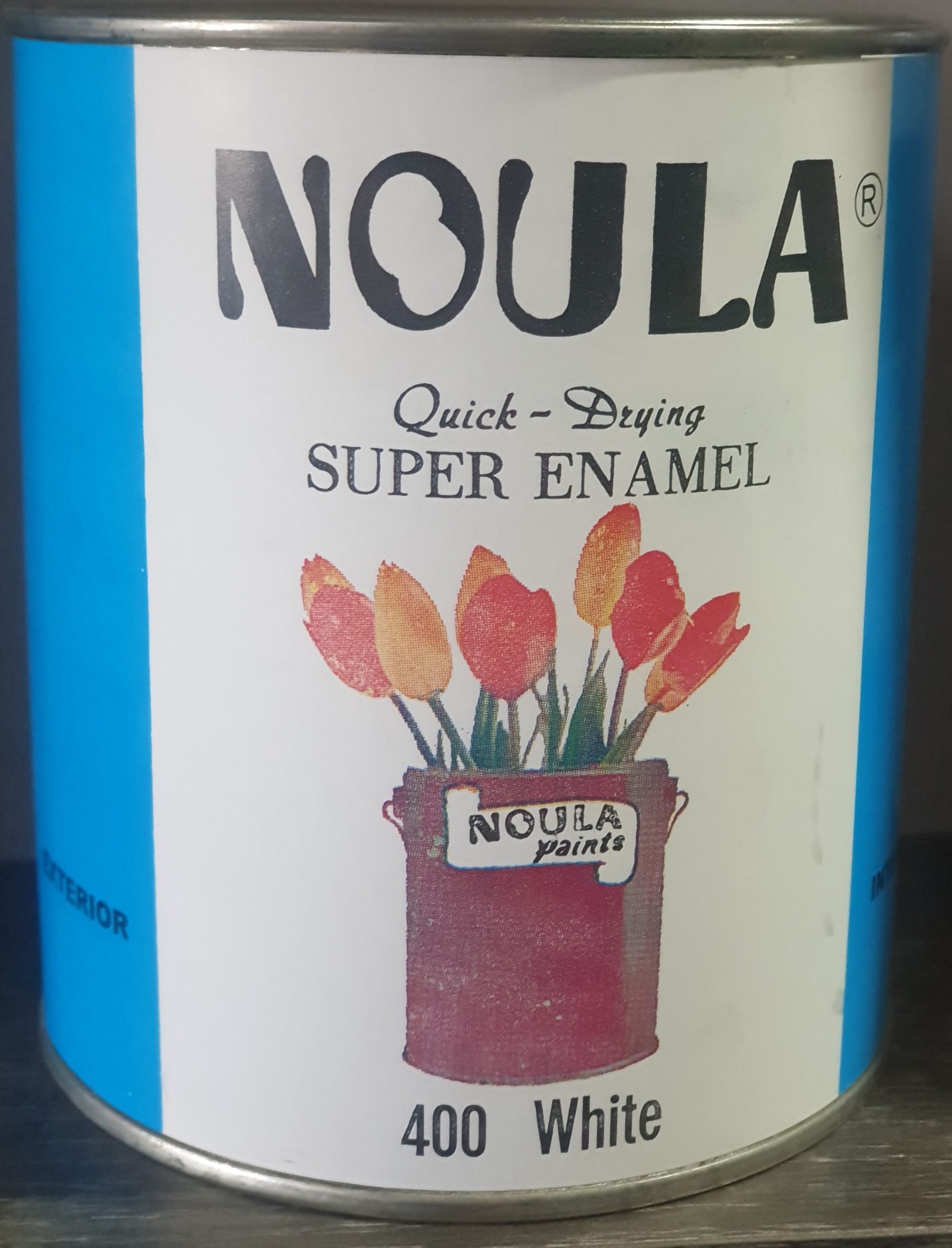 Noula Enamel Paint (Aluminum Color)