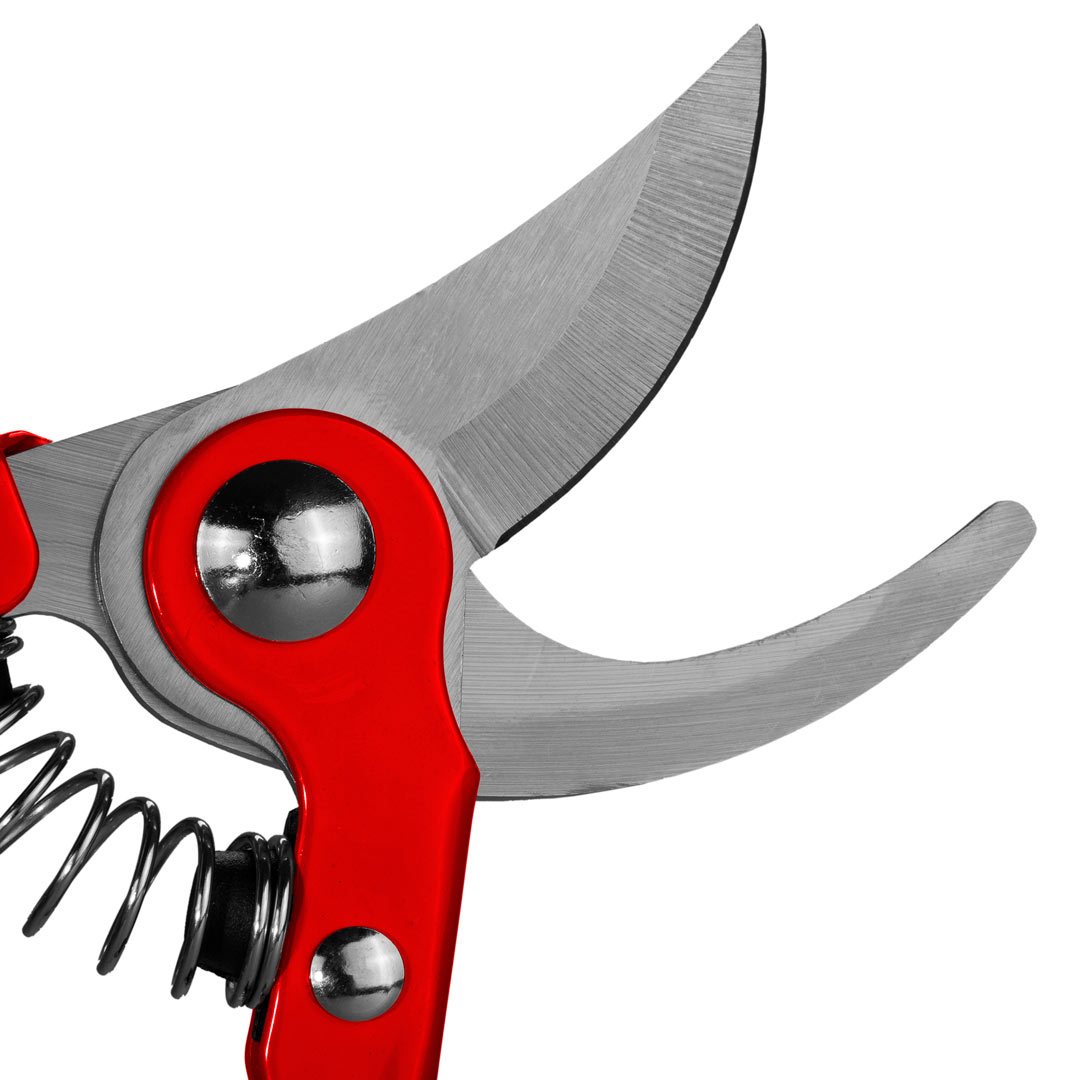 Pruning Shear